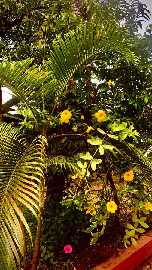 Stan-Inn, North Goa, Vagator, With Strong Wifi,Free Private Parking & Kitchen, Can Cook Where You Stay Luaran gambar